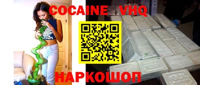 крисы Можга