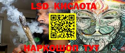 крисы Можга