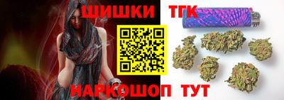 крисы Можга