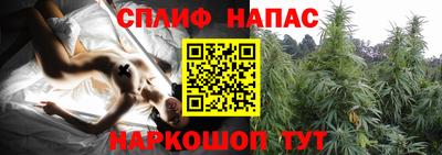 Альфа ПВП Нальчик