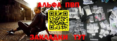 крисы Можга
