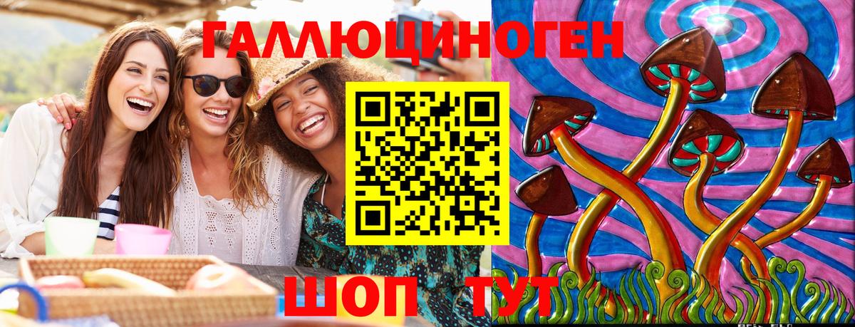 Псилоцибиновые грибы Psilocybe Гатчина