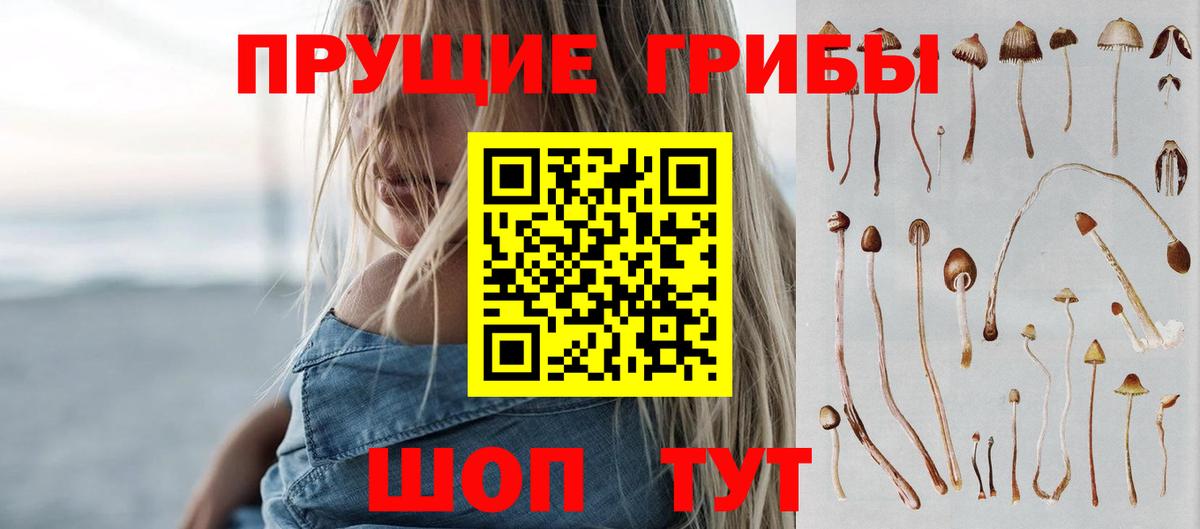 Псилоцибиновые грибы мицелий  наркота  Галлюциногенные грибы Magic Shrooms  Гатчина 
